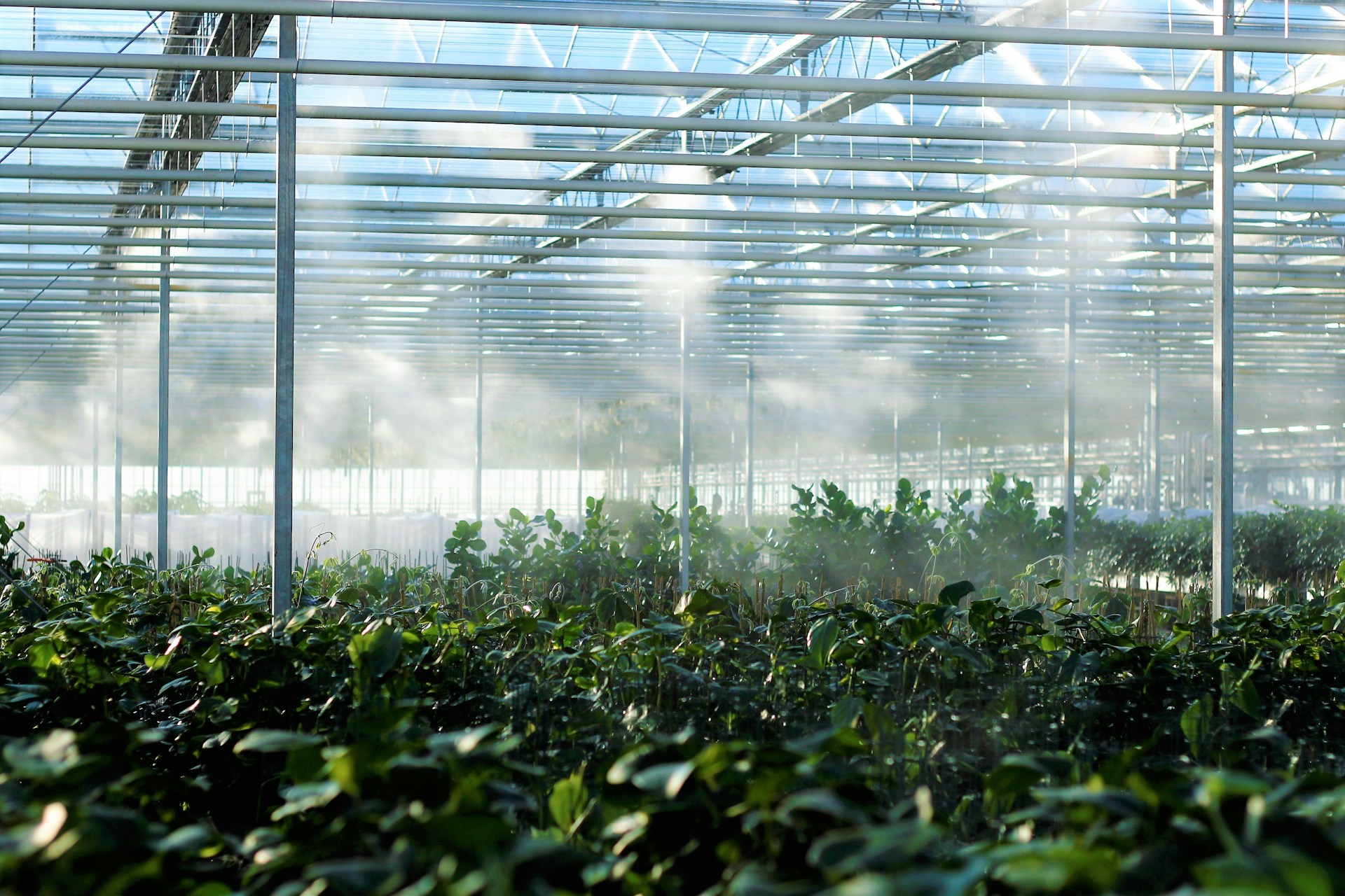 Irrigation And Greenhouse Management